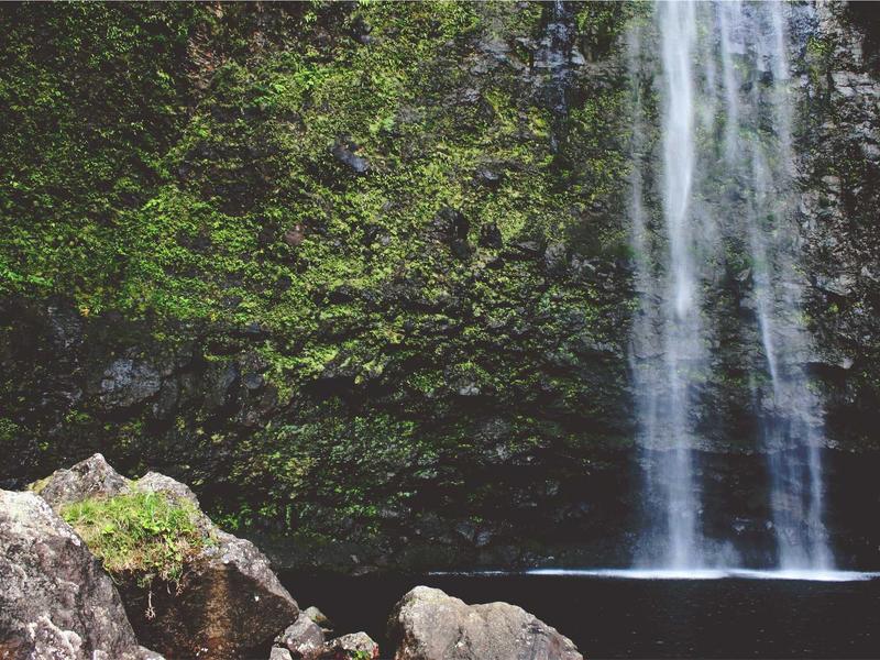 sudoku perfect score